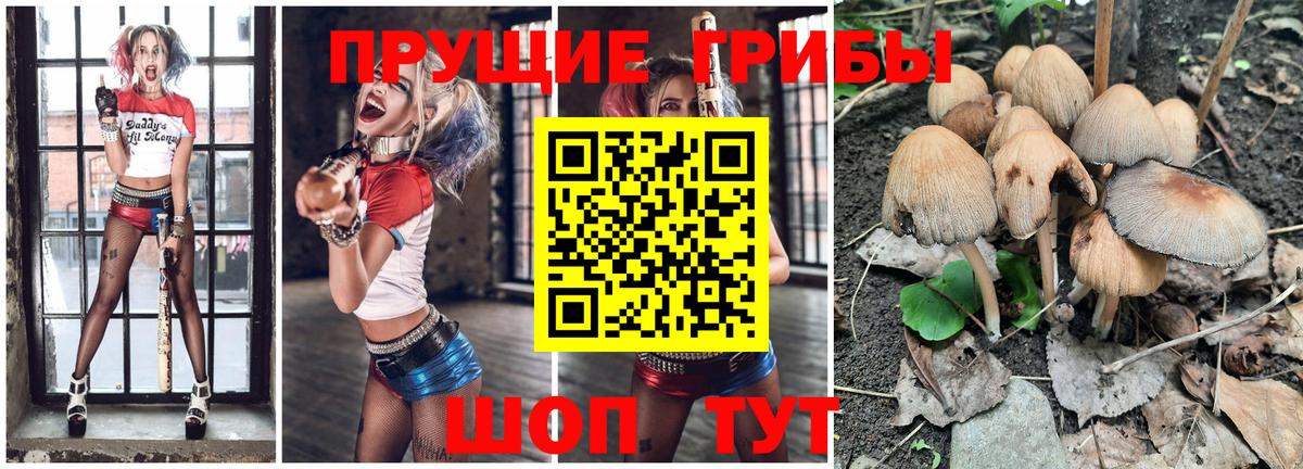 Псилоцибиновые грибы Cubensis  Вход с VPN  Псилоцибиновые грибы GOLDEN TEACHER  Шатура 