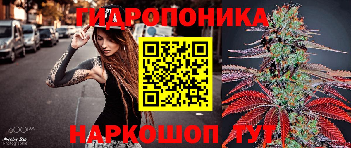 Марихуана тримм  Марихуана марихуана  Шатура  Бошки Шишки план  Шишки марихуана сатива  Вход с VPN 